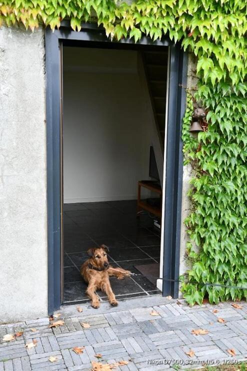 B&B De Vlaschaerd Heule Exteriér fotografie
