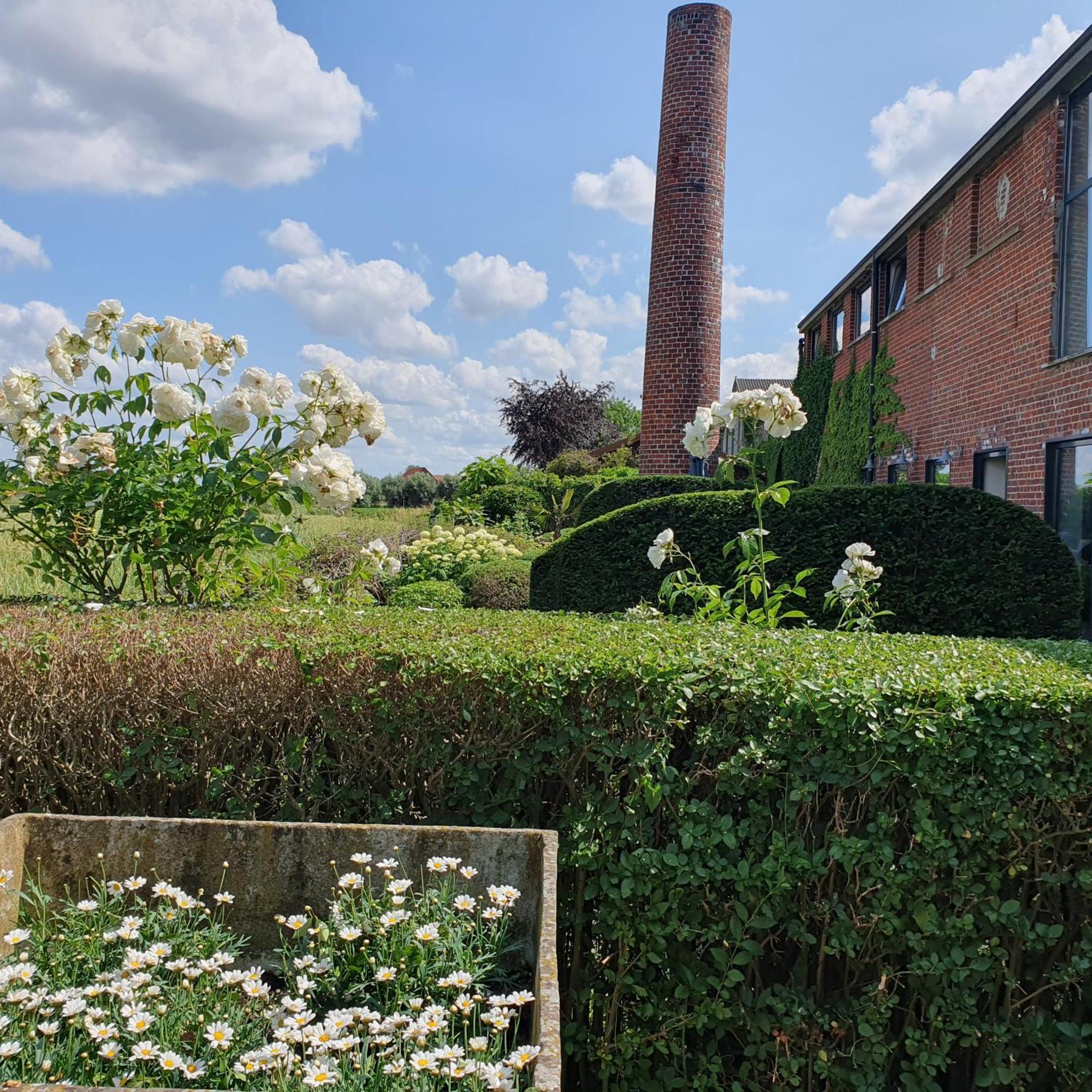B&B De Vlaschaerd Heule Exteriér fotografie